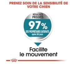 CROQUETTES CHIEN MAXI JOINT CARE 10KG - ROYAL CANIN -Jardin Extérieur croquettes maxi joint care 10kg 2