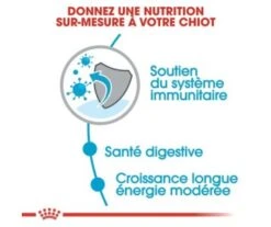 CROQUETTES CHIEN MAXI JUNIOR 15KG - ROYAL CANIN -Jardin Extérieur croquettes maxi junior 2