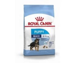 CROQUETTES CHIEN MAXI JUNIOR 15KG - ROYAL CANIN