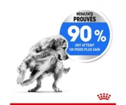 CROQUETTES CHIEN MAXI LIGHT WEIGHT CARE 10KG - ROYAL CANIN -Jardin Extérieur croquettes maxi light weight care 10kg 2