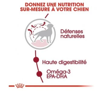 CROQUETTES CHIEN MEDIUM ADULT 4KG - ROYAL CANIN 3 CROQUETTES CHIEN MEDIUM ADULT 4KG - ROYAL CANIN – Image 3