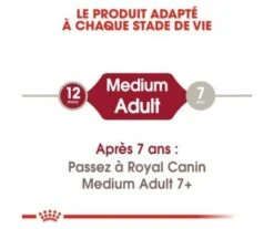CROQUETTES CHIEN MEDIUM ADULT 4KG - ROYAL CANIN 8 CROQUETTES CHIEN MEDIUM ADULT 4KG - ROYAL CANIN -Jardin Extérieur croquettes medium adult 4kg 3