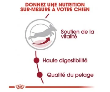 CROQUETTES CHIEN MEDIUM ADULT 7+ 15KG- ROYAL CANIN 3 CROQUETTES CHIEN MEDIUM ADULT 7+ 15KG- ROYAL CANIN – Image 3