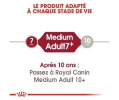 CROQUETTES CHIEN MEDIUM ADULT 7+ 15KG- ROYAL CANIN 8 CROQUETTES CHIEN MEDIUM ADULT 7+ 15KG- ROYAL CANIN -Jardin Extérieur croquettes medium adult7 3