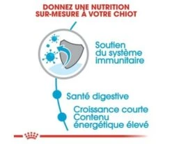 CROQUETTES CHIEN MEDIUM JUNIOR 4KG - ROYAL CANIN -Jardin Extérieur croquettes medium junior 4kg 2