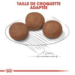 CROQUETTES CHIEN MEDIUM JUNIOR 15KG - ROYAL CANIN -Jardin Extérieur croquettes medium junior 4kg 5