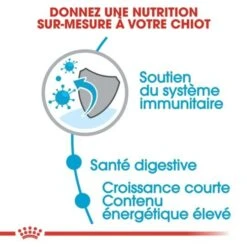 CROQUETTES CHIEN MEDIUM JUNIOR 15KG - ROYAL CANIN -Jardin Extérieur croquettes medium junior 4kg 6