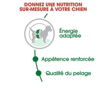 CROQUETTES CHIEN MINI ADULT 2KG - ROYAL CANIN 2 CROQUETTES CHIEN MINI ADULT 2KG - ROYAL CANIN – Image 2