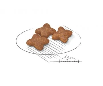 CROQUETTES CHIEN MINI ADULT 2KG - ROYAL CANIN 3 CROQUETTES CHIEN MINI ADULT 2KG - ROYAL CANIN – Image 3