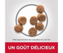 CROQUETTES CHIOT SMALL & MINI POULET 1,5KG - HILL'S -Jardin Extérieur croquettes puppy small 1