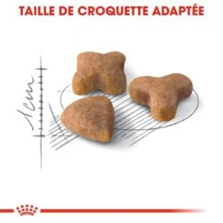 CROQUETTES CHAT SENSIBLE 33 2KG - ROYAL CANIN -Jardin Extérieur croquettes sensible33 400gr 1