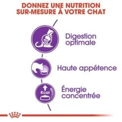 CROQUETTES CHAT SENSIBLE 33 2KG - ROYAL CANIN -Jardin Extérieur croquettes sensible33 400gr 2