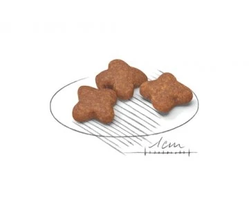 CROQUETTES CHIEN MINI ADULT 8+ 4KG - ROYAL CANIN 2 CROQUETTES CHIEN MINI ADULT 8+ 4KG - ROYAL CANIN – Image 2