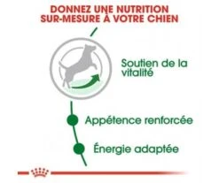 CROQUETTES CHIEN MINI ADULT 8+ 4KG - ROYAL CANIN 6 CROQUETTES CHIEN MINI ADULT 8+ 4KG - ROYAL CANIN -Jardin Extérieur croquettes shn mini adult8 4kg 2