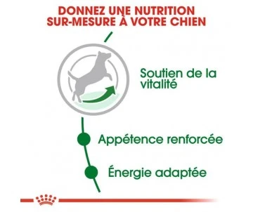 CROQUETTES CHIEN MINI ADULT 8+ 4KG - ROYAL CANIN 3 CROQUETTES CHIEN MINI ADULT 8+ 4KG - ROYAL CANIN – Image 3