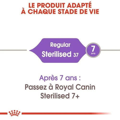 CROQUETTES CHAT STERILISED 37 4KG - ROYAL CANIN 3 CROQUETTES CHAT STERILISED 37 4KG - ROYAL CANIN – Image 3