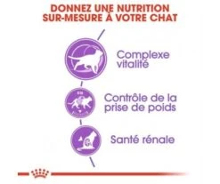 CROQUETTES CHAT STERILISED 7+ 3,5KG - ROYAL CANIN -Jardin Extérieur croquettes sterilised7 35kg 2