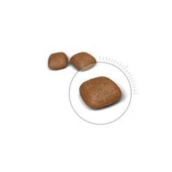 CROQUETTES CHAT URINARY CARE 4KG - ROYAL CANIN -Jardin Extérieur croquettes urinary care 2kg 1