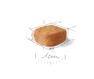 CROQUETTES CHIEN YORKSHIRE ADULT 1,5KG - ROYAL CANIN 2 CROQUETTES CHIEN YORKSHIRE ADULT 1,5KG - ROYAL CANIN – Image 2