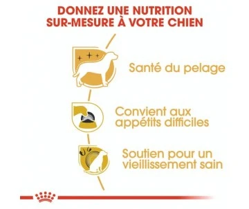 CROQUETTES CHIEN YORKSHIRE ADULT 1,5KG - ROYAL CANIN 3 CROQUETTES CHIEN YORKSHIRE ADULT 1,5KG - ROYAL CANIN – Image 3