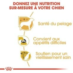 CROQUETTES CHIEN YORKSHIRE ADULT 3KG - ROYAL CANIN -Jardin Extérieur croquettes yorkshire 15kg 5