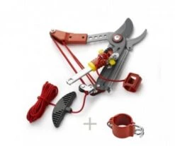 ECHENILLOIR ORIEN.CPE.FR.OSVM2