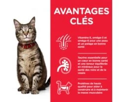 PATEE CHAT ADULT 3 SAVEURS 12X85GR - Hill's SCIENCE PLAN -Jardin Extérieur feline adult 5