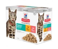 PATEE CHAT PERFECT WEIGHT POULET ET SAUMON 12X85GR - Hill's SCIENCE PLAN
