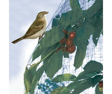 FILET PROTECTION OISEAUX 2x10m 3 FILET PROTECTION OISEAUX 2x10m – Image 3