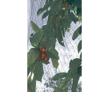 FILET PROTECTION OISEAUX 2x10m 4 FILET PROTECTION OISEAUX 2x10m – Image 4