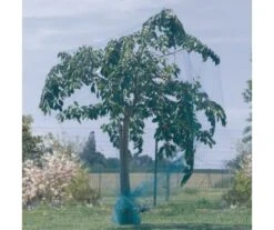 FILET PROTECTION OISEAUX 5x5m -Jardin Extérieur filet protection oiseaux 5x5m 3