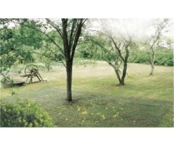 FILET RAMASSAGE CAPTANET 4x6m -Jardin Extérieur filet ramassage captanet 4x6m 3