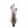 FOXTAIL ARTIFICIEL POT BORDEAUX H150D70CM
