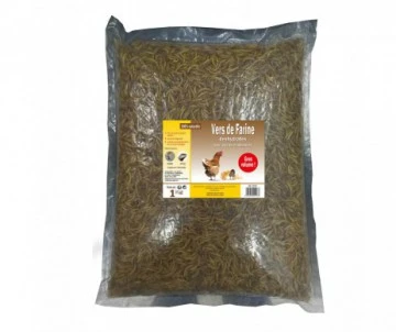 FRIANDISE POUR POULES - VERS DE FARINE 1KG 1 FRIANDISE POUR POULES - VERS DE FARINE 1KG