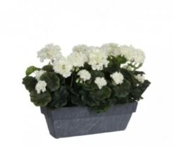 GERANIUM BLANC ARTIFICIEL