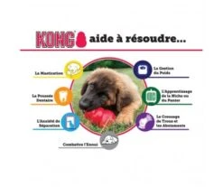 JOUET KONG CLASSIC - LARGE ROUGE - KONG -Jardin Extérieur jouet kong classic large 3