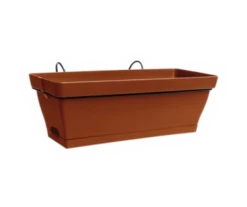 LOT J.ROMEO 50 SC T.CUITE +SUP