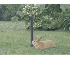 MANCHON PROTECTION D.10x55CM X 6 MANCHON PROTECTION D.10x55CM X -Jardin Extérieur manchon protection d10x55cm x 2