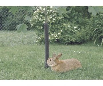 MANCHON PROTECTION D.10x55CM X 3 MANCHON PROTECTION D.10x55CM X – Image 3