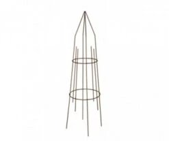 MINI GRIMPANTE RDE FER VIEILLI