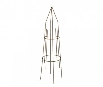 MINI GRIMPANTE RDE FER VIEILLI 1 MINI GRIMPANTE RDE FER VIEILLI