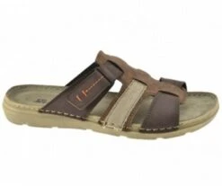 MULE PATIENT MARRON T44 - Moran's