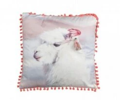 OREILLER ALPAGA BLC CASSE