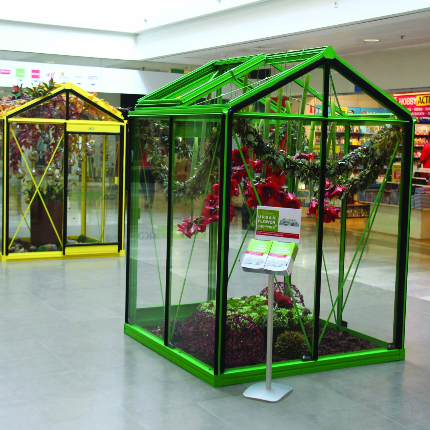 PICCOLO P04 4 PICCOLO P04 – Image 4