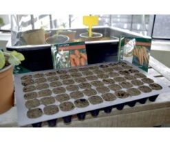 PLATEAUX 60 TROU 35.5x21x4CM X -Jardin Extérieur plateaux 60 trou 355x21x4cm x 4