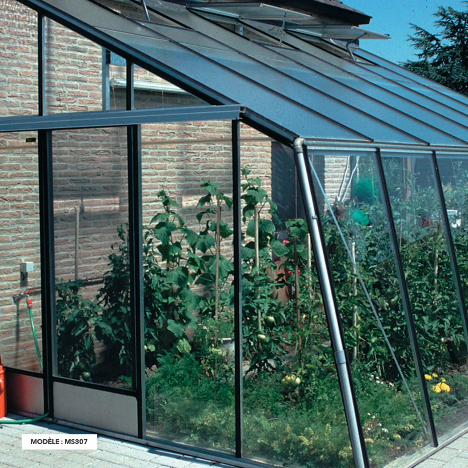 PRESTIGE MS310H 2 PRESTIGE MS310H – Image 2