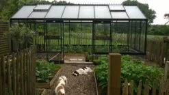 PRESTIGE R308H -Jardin Extérieur prestige r304h 23