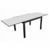 TABLE EXTENSIBLE RECTANGULAIRE GRAPHITE/PERLE 200 X 300 X 100CM - PRO LOISIRS